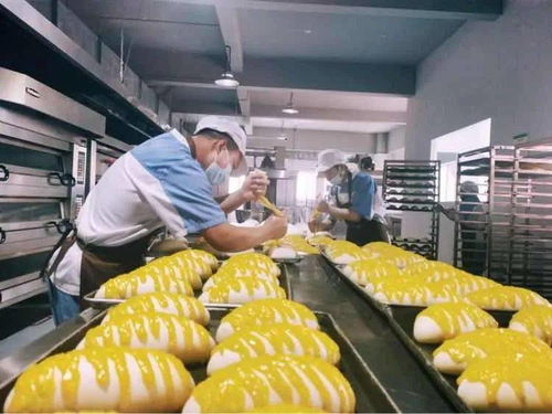 临夏经济开发区年产1800吨清真糕点食品生产加工项目正式建成投产