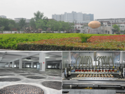 中国最大禽蛋生产加工企业打造中国“健康蛋”驰名品牌