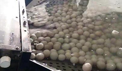 实用型双排鸭蛋清洗分级生产线(ZYL-YS2-D2-P)_食品机械设备产品_中国食品科技网